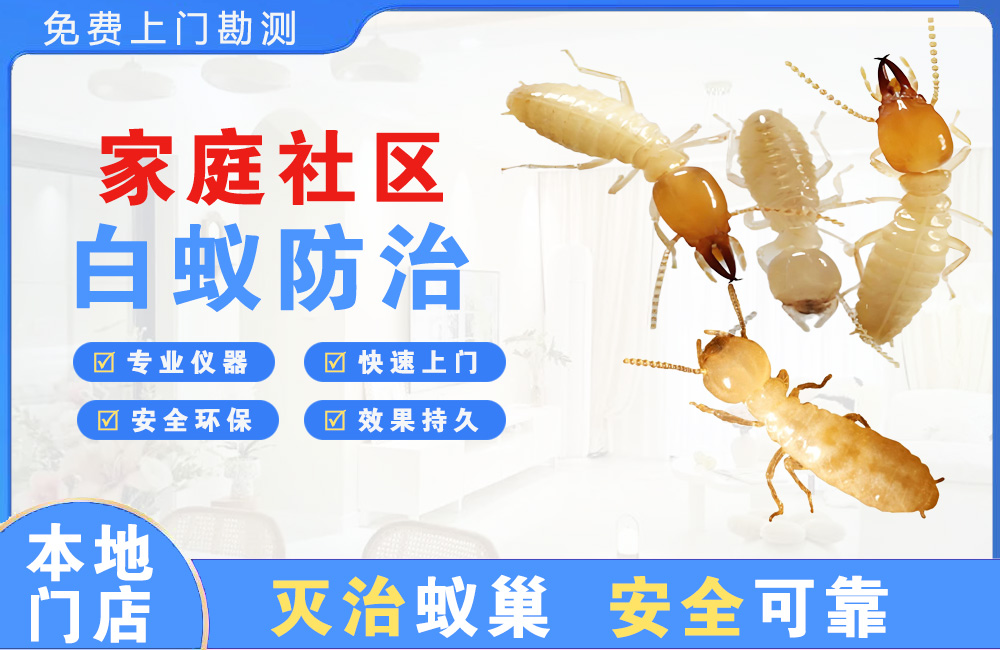 曲靖家庭社区白蚁防治
