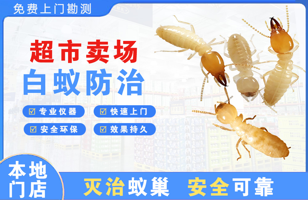 曲靖超市卖场白蚁防治