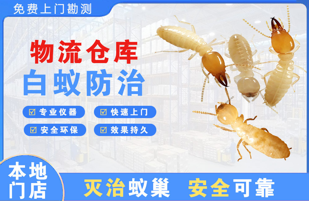 曲靖物流仓库白蚁防治