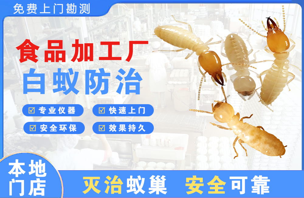 曲靖食品加工厂白蚁防治