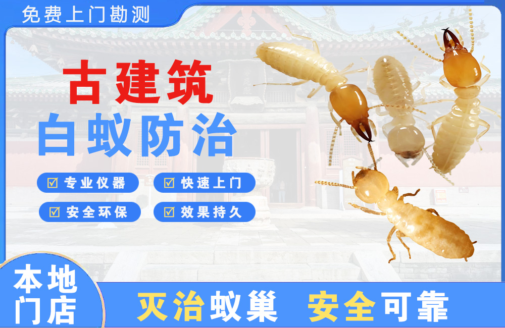 曲靖古建筑白蚁防治