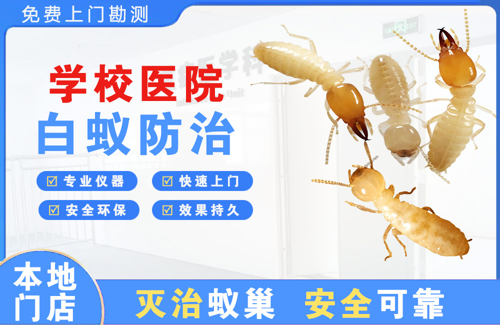 曲靖学校医院白蚁防治