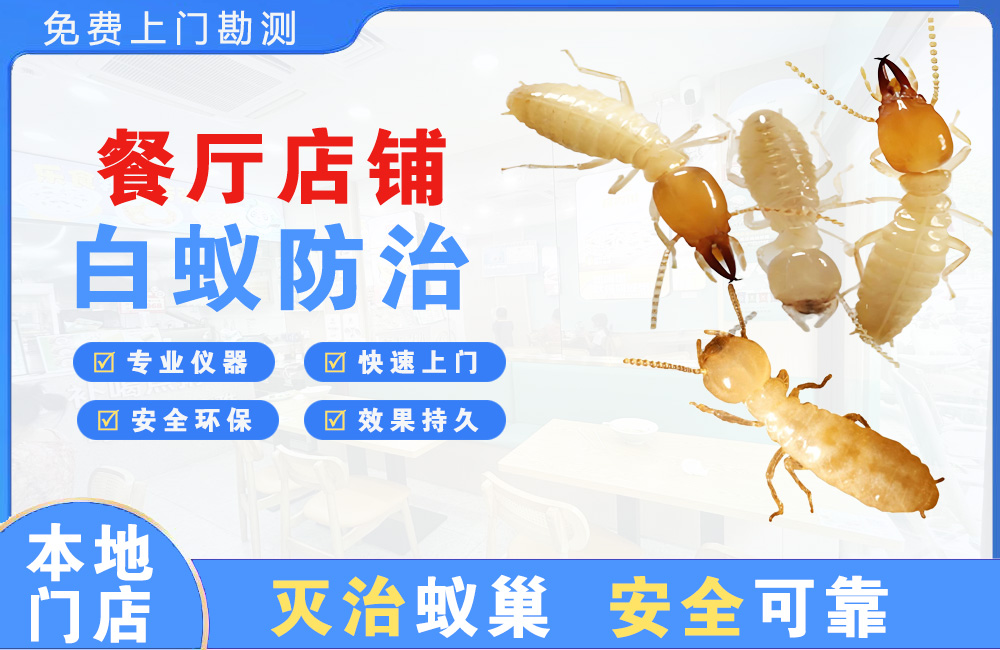 曲靖餐厅店铺白蚁防治